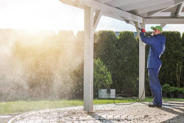 Pre-Holiday Cleaning in Shawano, WI